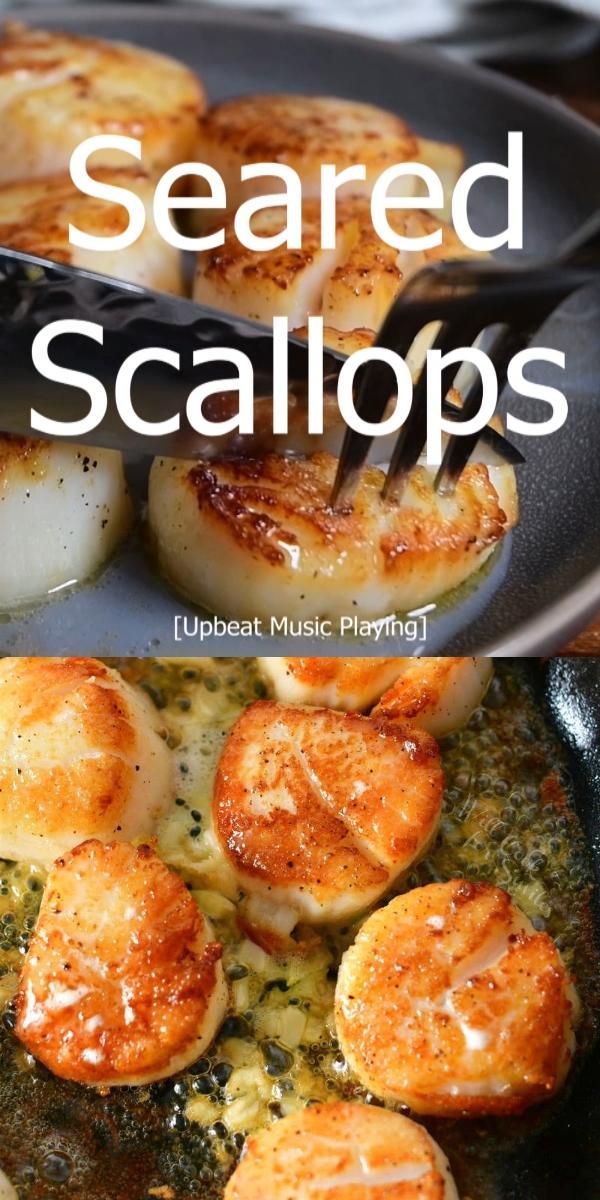 Seared Scallops are SO Easy and Incredibly Delicious! 