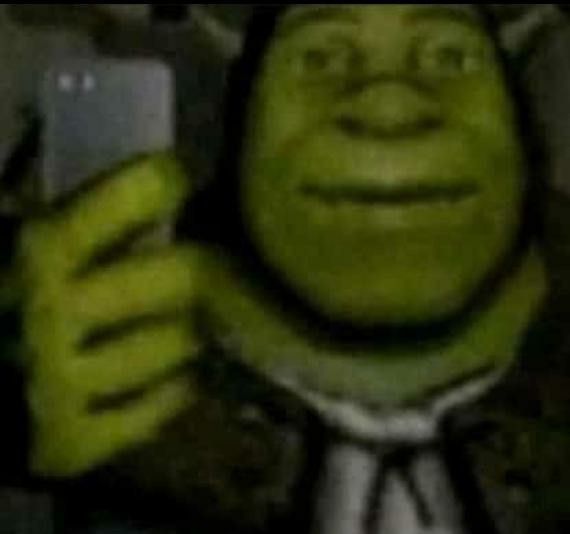 Shrek You Could Airdrop This Picture