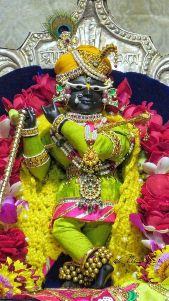Shri Radha Raman Ji Images