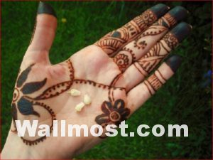 Simple Mehndi Designs 25