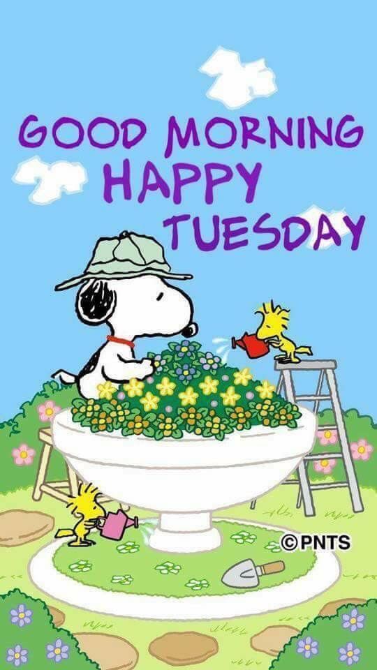 Snoopy Good Morning Happy Tuesday