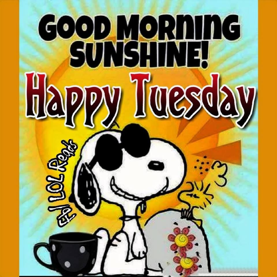 Snoopy Good Morning Sunshine Happy Tuesday