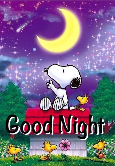Snoopy Good Night