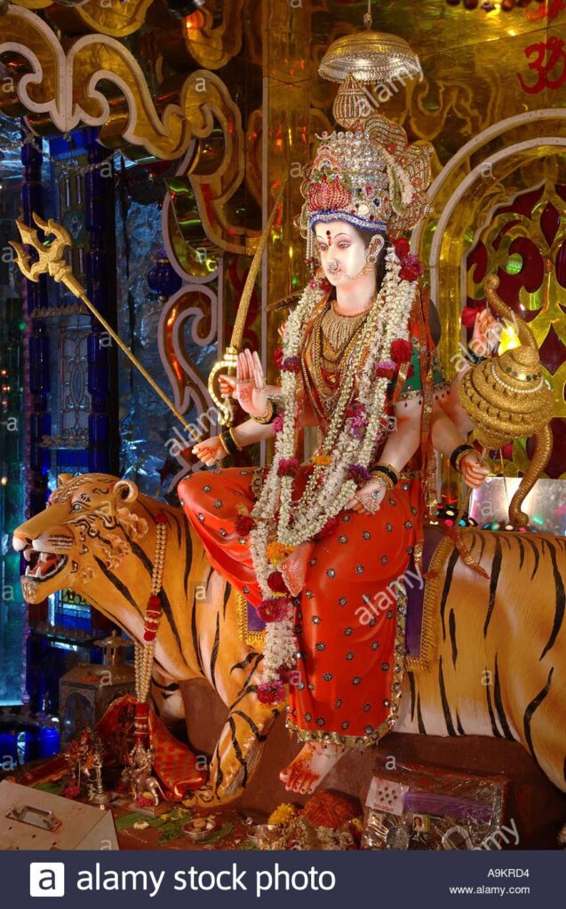 South Asian Indian Goddess Amba Bhavani Showering Blessings Sitting On Tiger Ind