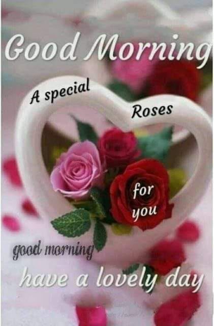Special Rose Good Morning Quote Images