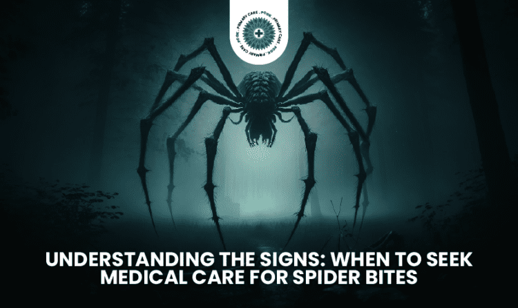 Spider Bites Alert: Knowing When To Seek Medical Attention