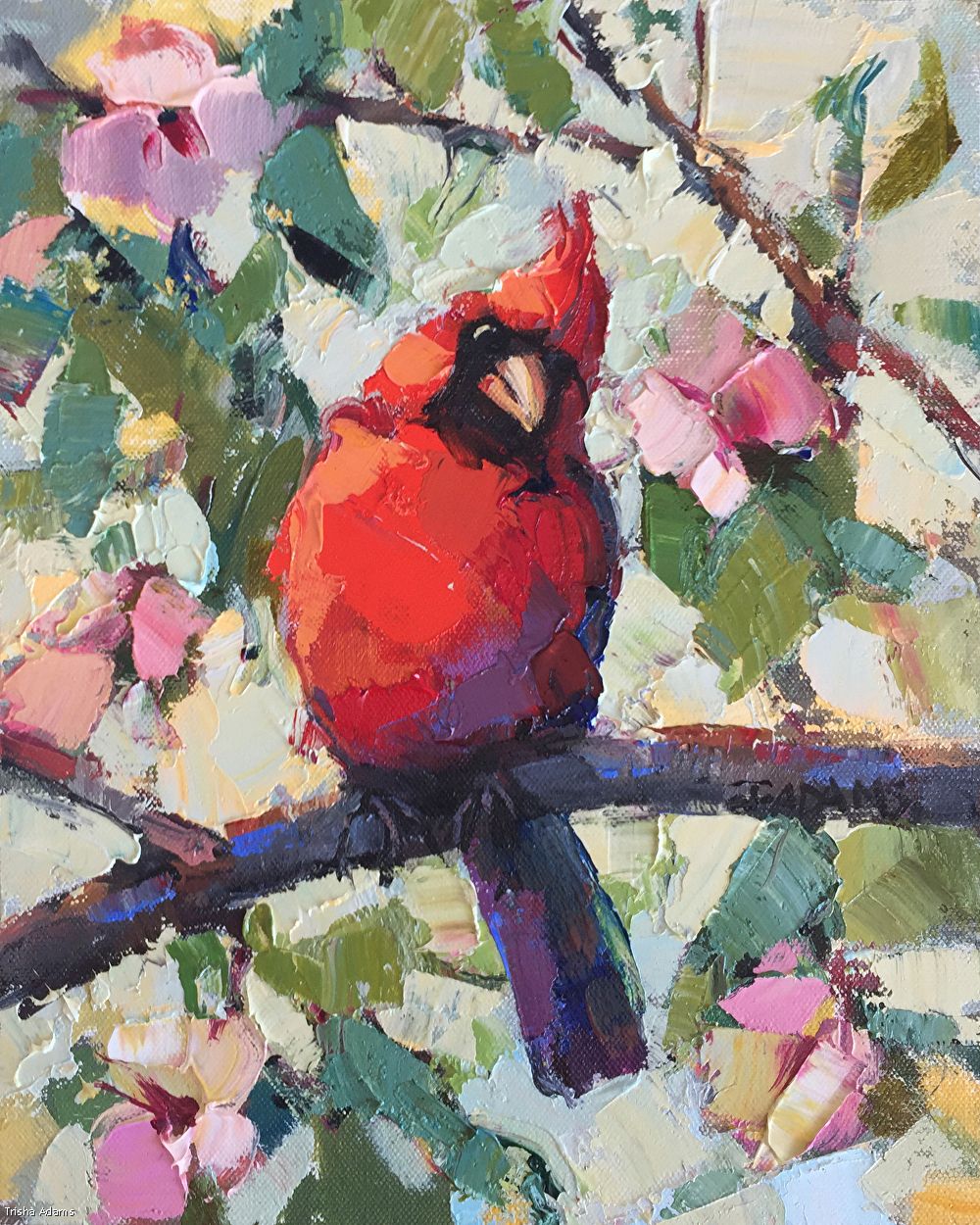 Spring Cardinal HD Wallpaper