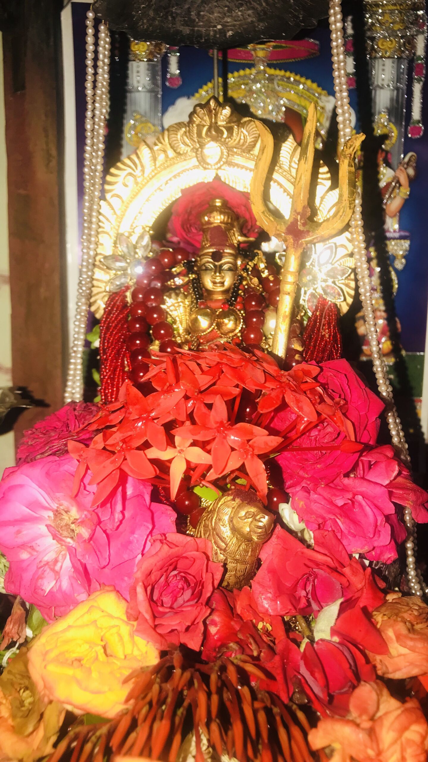 Sri Durga devi alankaram 