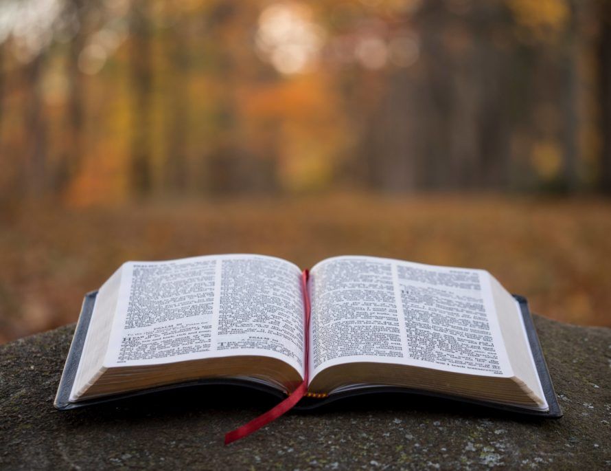 Struggling To Read The Bible? Here Is What You Should Know