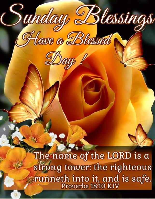 Sunday Blessings Have A Blessed Day Religious Quote Images