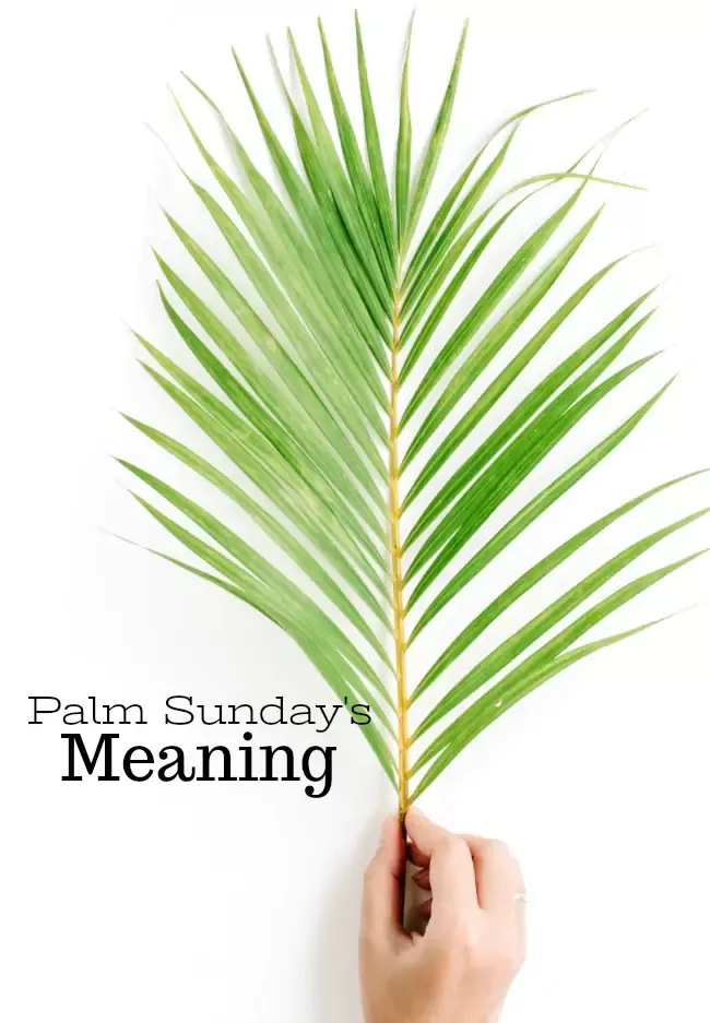THE MEANING OF PALM SUNDAY