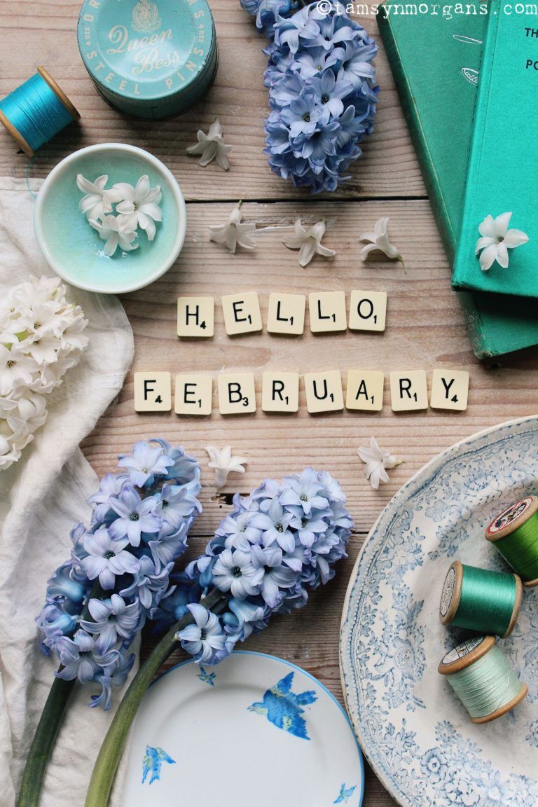 Tamsyn Morgans | Hello February!