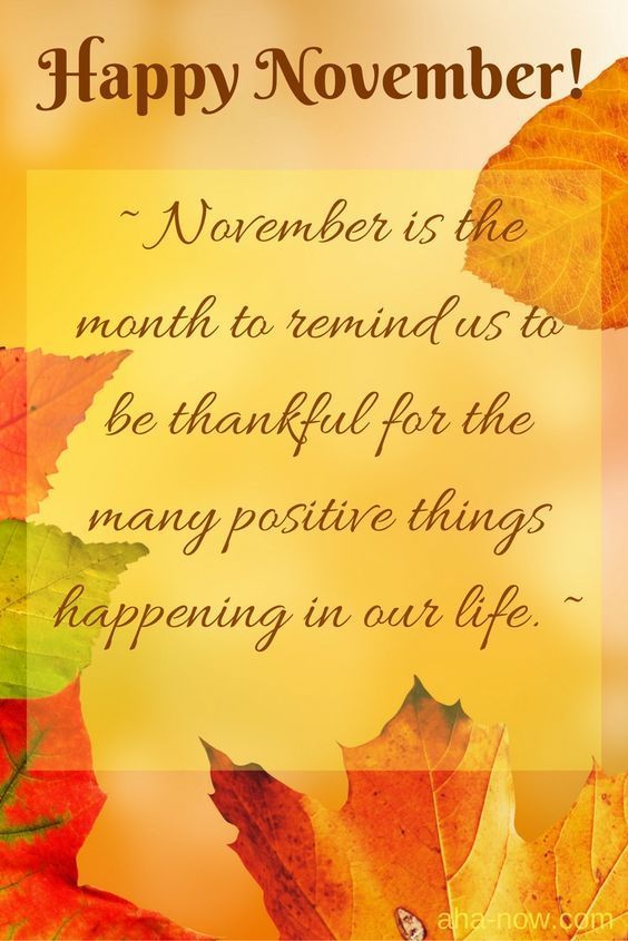 Thankful Happy November Quote
