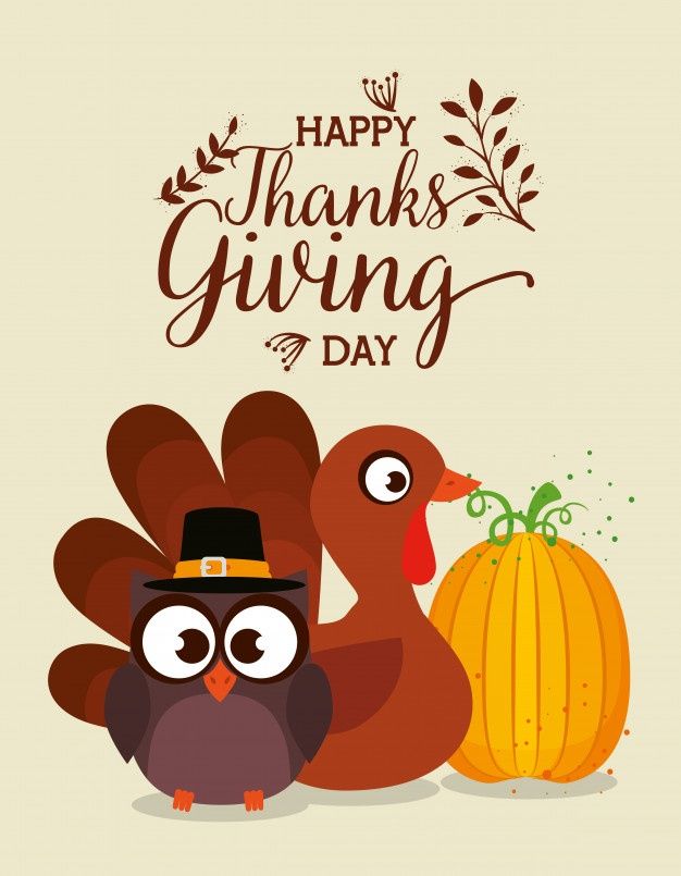 Thanks giving card with turkey and owl | Free Vector