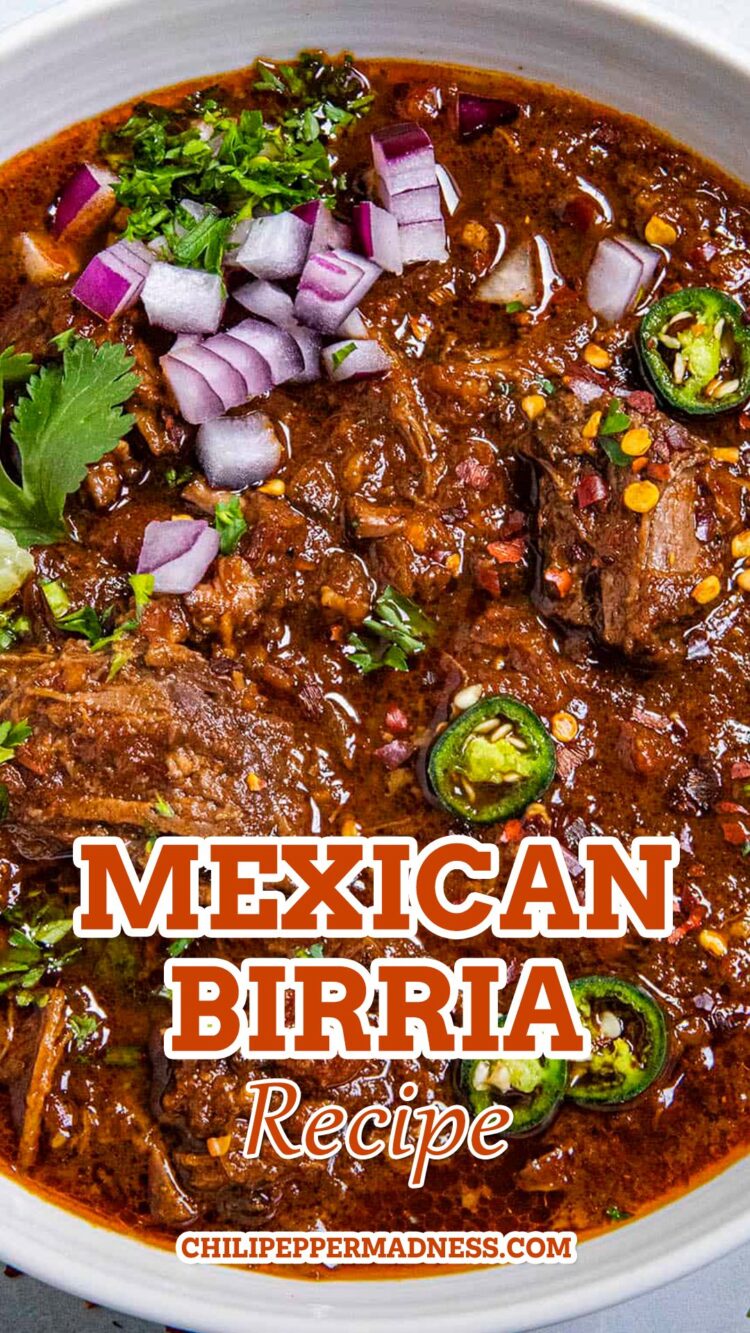 The Best Ever Mexican Birria