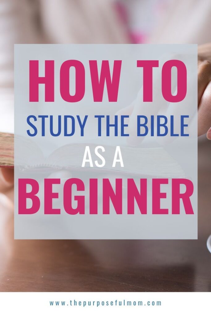 The Best Way To Start Reading The Bible As A
