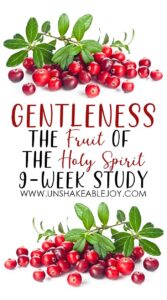 The Fruit of The Holy Spirit: Gentleness , 9 Week Study , Unshakeable Joy HD Wallpaper