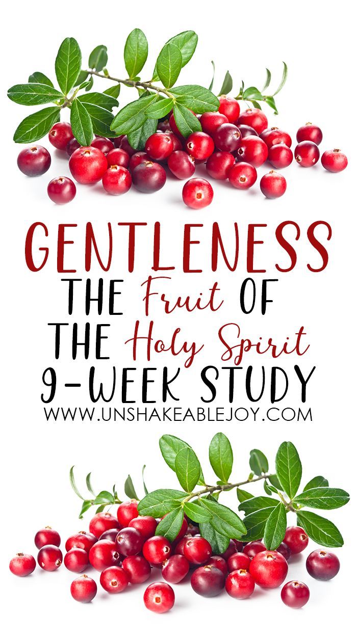 The Fruit of The Holy Spirit: Gentleness - 9 Week Study - Unshakeable Joy