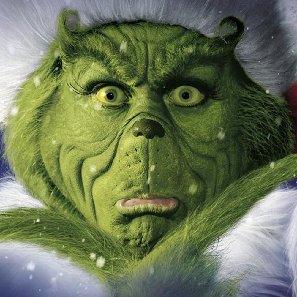 The Grinch Costume - The Grinch
