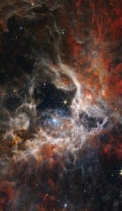 The Tarantula Nebula HD Wallpaper
