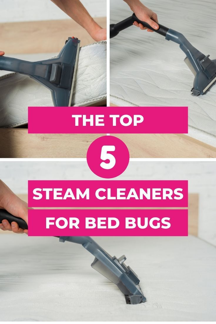 The Top 5 Steam Cleaners for Bed Bugs
