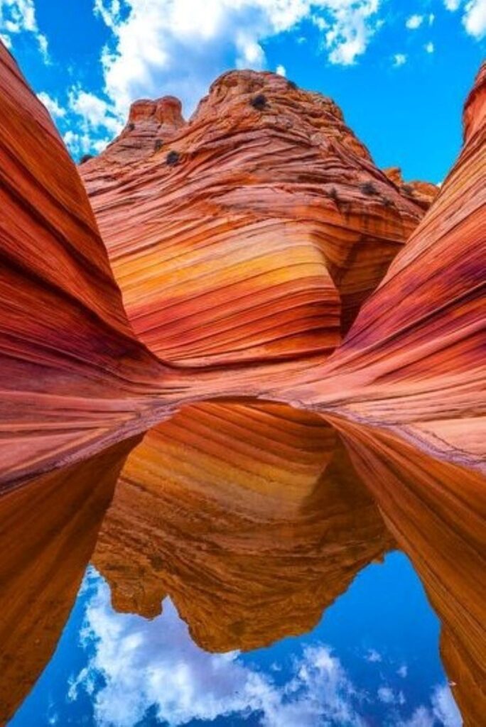 The Wave, Vermilion Cliffs National Monument, Arizona, United States, ザ・ウェーブ（バーミ