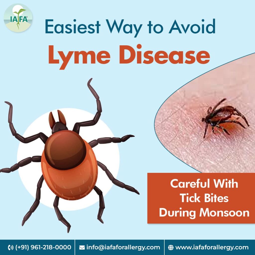 The Easiest Way To Avoid Lyme Disease!