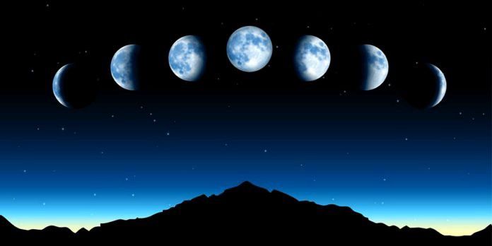 The Scientific Significance Of Fasting On 11Th Lunar Day (Ekadashi)