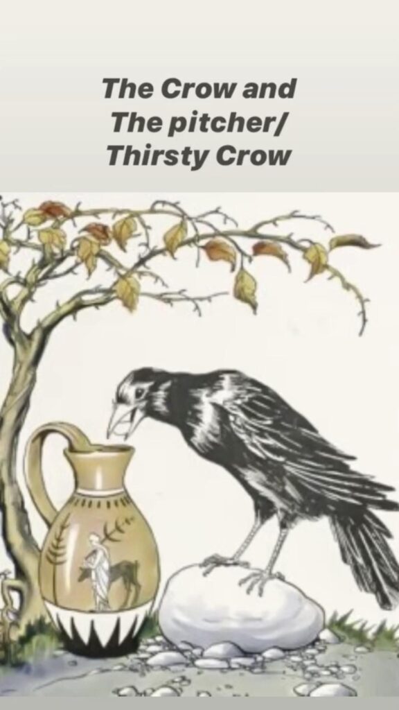 Thirsty Crow- Activity