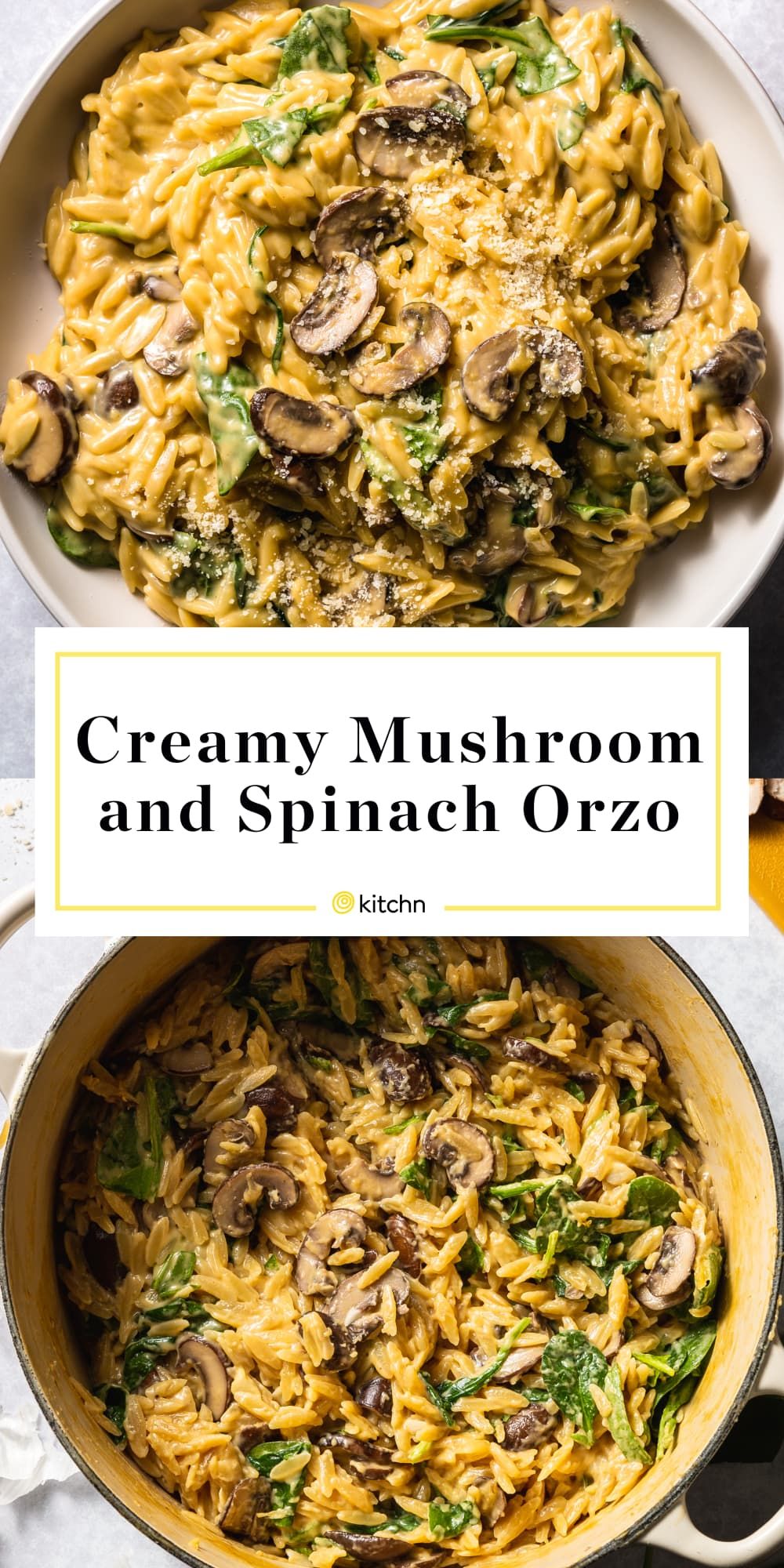 This Creamy Mushroom Orzo is Supremely Satisfying HD Wallpaper