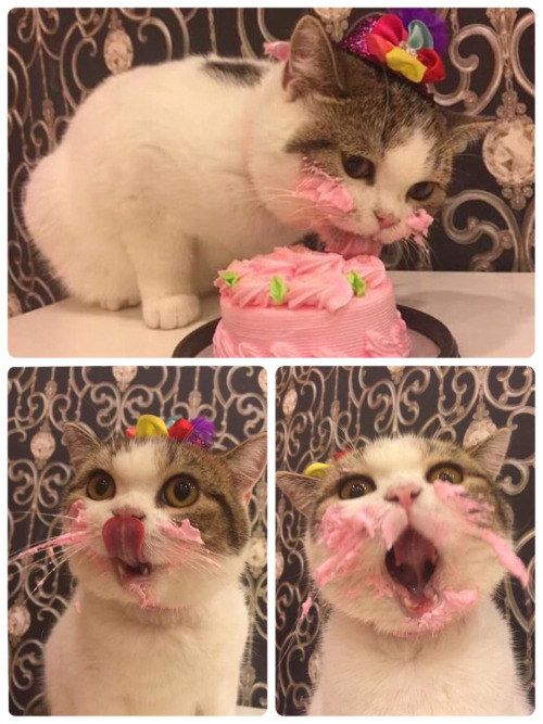 This princess enjoying her birthday cake. Images