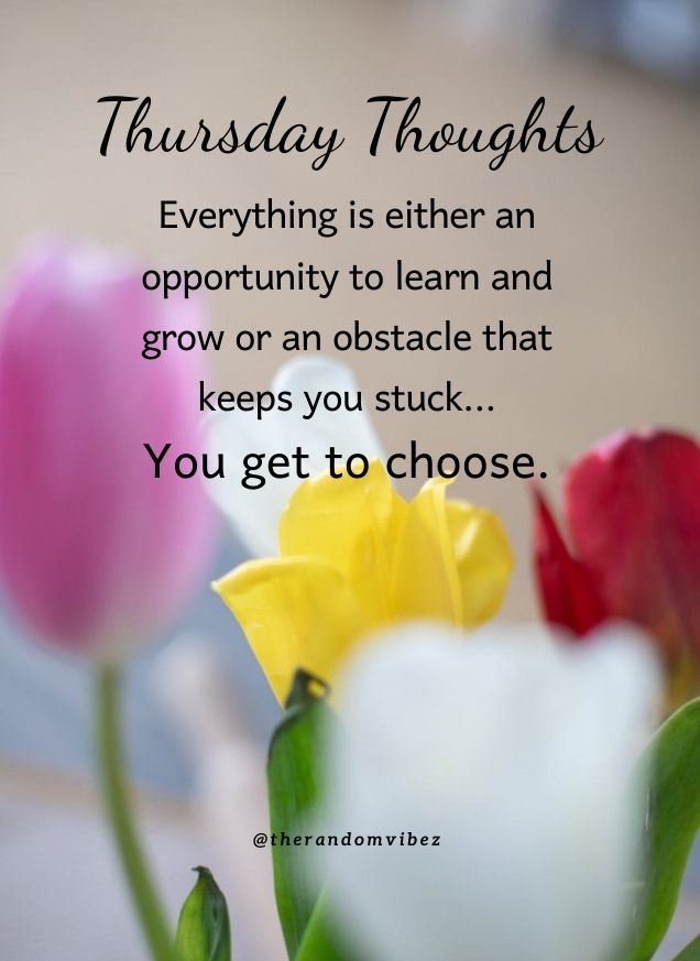 Thoughtful Thursday Quotes