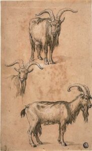 Three Sketches of a Goat (recto) Drapery of Standing Female Figure (verso) | The HD Wallpaper