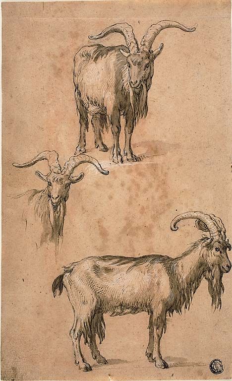 Three Sketches Of A Goat (Recto) Drapery Of Standing Female Figure (Verso) | The