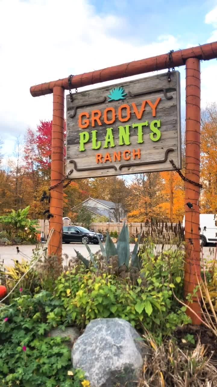 TikTok · Groovy Plants Ranch 🌿🌵🌱