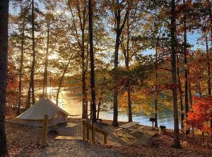 Timberline Glamping Company , A Luxury Glamping Experience HD Wallpaper
