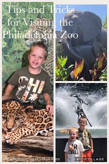Tips and Tricks for Visiting the Philadelphia Zoo