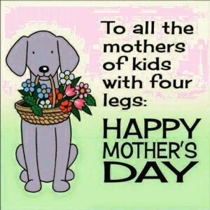 To all the mothers of kids with four legs…Happy Mother’s Day HD Wallpaper