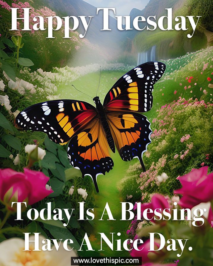 Today Is A Blessing Happy Tuesday Images