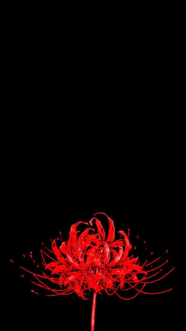 Tokyo ghoul flower | Tokyo ghoul flower, Anime flower, Anime wallpaper phone