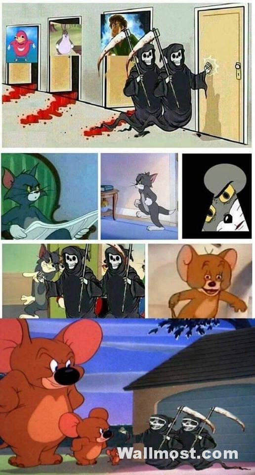 Tom And Jerry Memes Wallpapers Pictures Images Photos 10