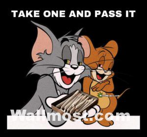 Tom And Jerry Memes Wallpapers Pictures Images Photos 11