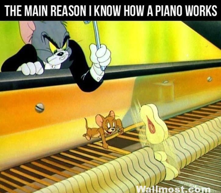Tom And Jerry Memes Wallpapers Pictures Images Photos 12 E1636784327697