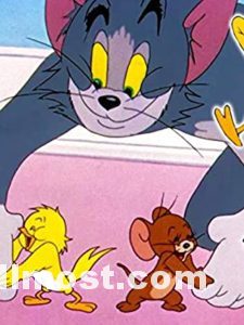 Tom And Jerry Memes Wallpapers Pictures Images Photos 15