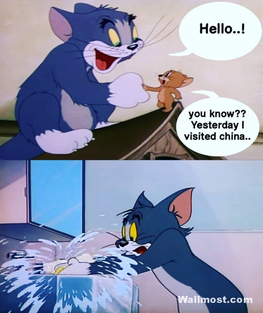 Tom And Jerry Memes Wallpapers Pictures Images Photos 18