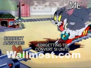 Tom And Jerry Memes Wallpapers Pictures Images Photos 5