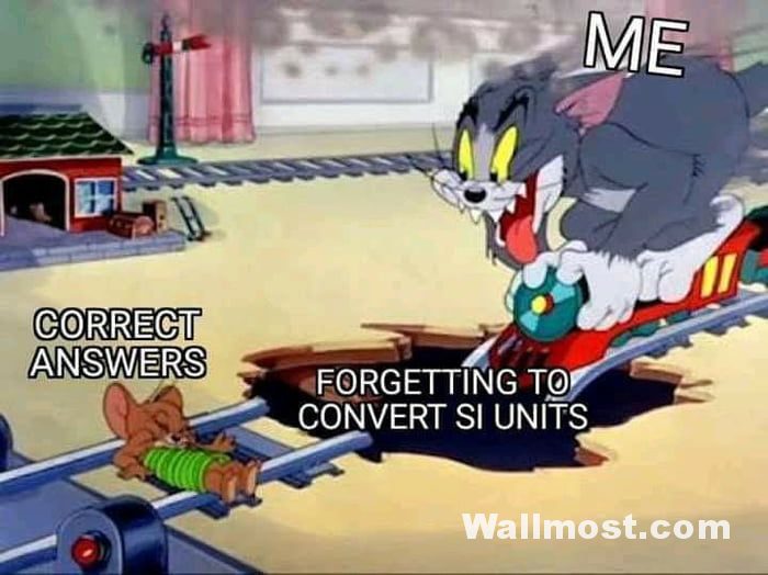 Tom And Jerry Memes Wallpapers Pictures Images Photos 5