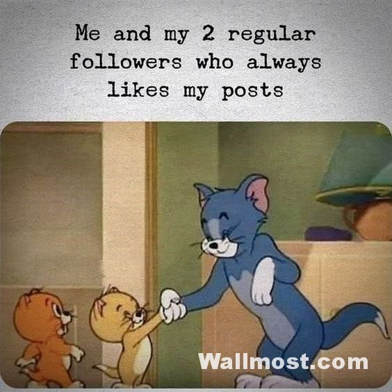 Tom And Jerry Memes Wallpapers Pictures Images Photos 7