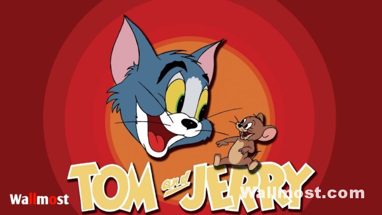 Tom And Jerry Memes Wallpapers, Pictures, Images & Photos