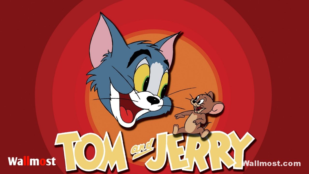 Tom And Jerry Memes Wallpapers, Pictures, Images & Photos